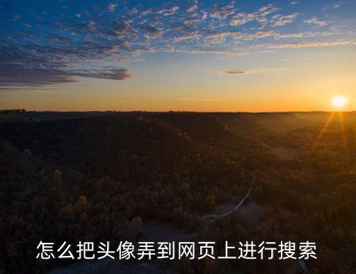怎么把頭像弄到網頁上進行搜索