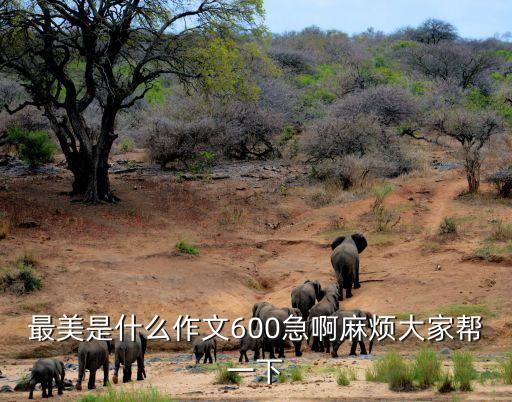 最美是什么作文600急啊麻煩大家幫一下