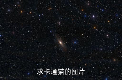 求卡通貓的圖片