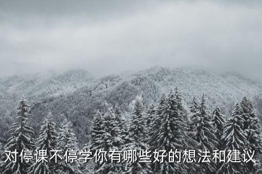 停課不停學，對停課不停學你有哪些好的想法和建議