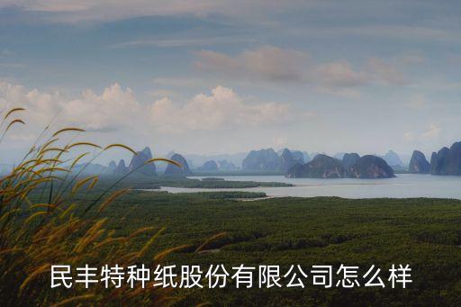 民豐特種紙股份有限公司怎么樣