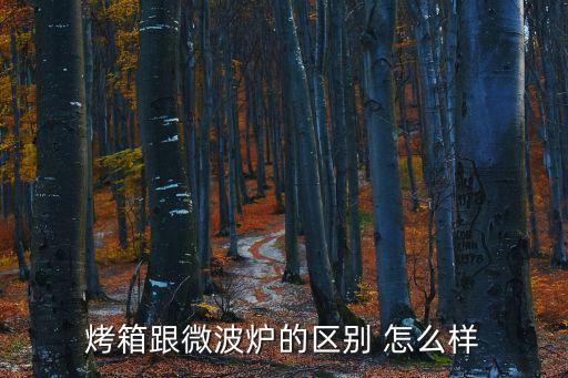 烤箱跟微波爐的區別 怎么樣