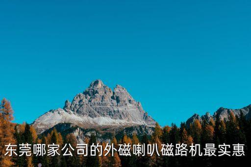 東莞哪家公司的外磁喇叭磁路機最實惠