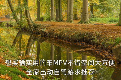 家用mpv，求推薦家用mpv推薦