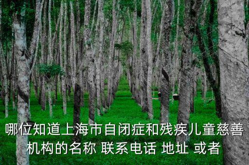哪位知道上海市自閉癥和殘疾兒童慈善機構的名稱 聯系電話 地址 或者