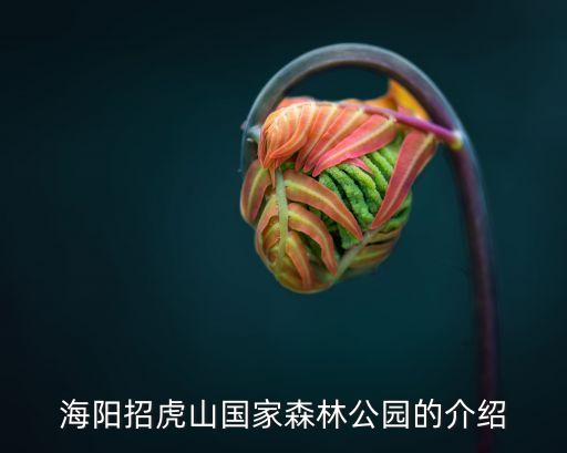 招虎山，海陽(yáng)招虎山國(guó)家森林公園的介紹