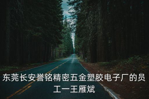 東莞長安譽銘精密五金塑膠電子廠的員工一王雁斌