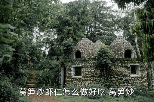 萵筍炒蝦仁，萵筍可以和蝦仁一起炒嗎