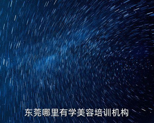東莞哪里學化妝品，東莞領秀美容美妝學校怎么樣