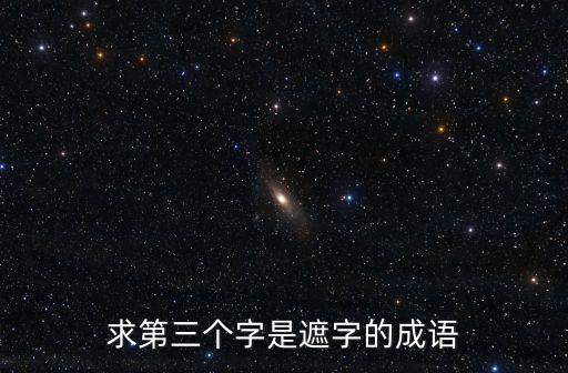 求第三個字是遮字的成語
