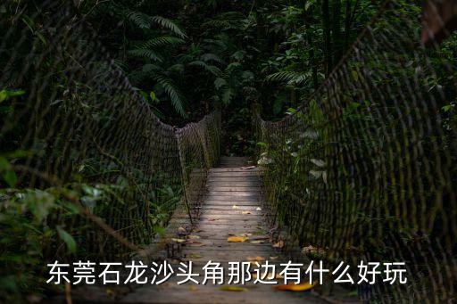 東莞石龍沙頭角那邊有什么好玩