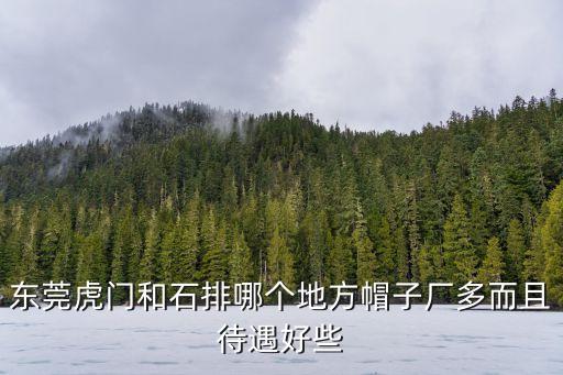 東莞有帽子廠嗎，東莞橫瀝鎮(zhèn)有帽子廠嗎