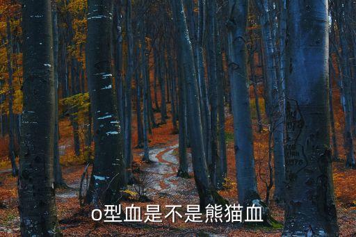 o型血是不是熊貓血
