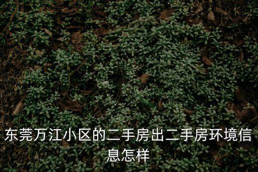 東莞萬江小區的二手房出二手房環境信息怎樣