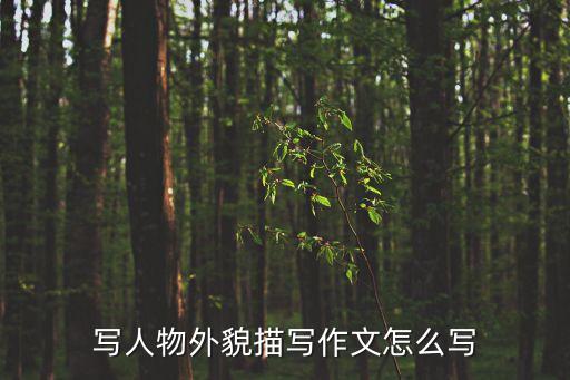 描寫人外貌的作文，寫人物外貌描寫作文怎么寫
