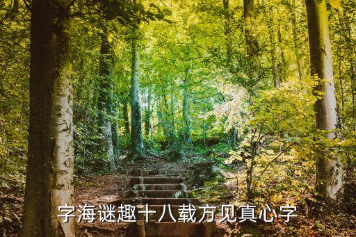 十八載，字海謎趣十八載方見真心字