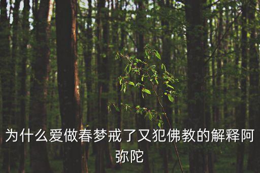 為什么愛做春夢戒了又犯佛教的解釋阿彌陀