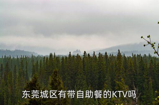 東莞城區有帶自助餐的KTV嗎