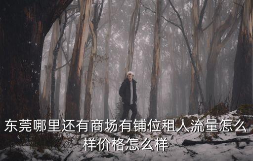 東莞渦嶺商業街出租，東莞哪里還有商場有鋪位租人流量怎么樣價格怎么樣
