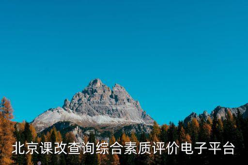 北京課改查詢綜合素質評價電子平臺