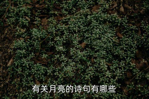 有關月亮的詩句有哪些