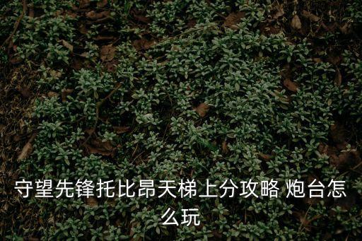 守望先鋒托比昂天梯上分攻略 炮臺(tái)怎么玩