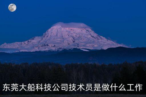 東莞大船科技公司技術(shù)員是做什么工作