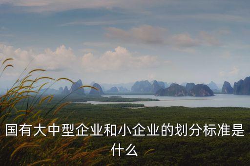 國(guó)有大中型企業(yè)和小企業(yè)的劃分標(biāo)準(zhǔn)是什么
