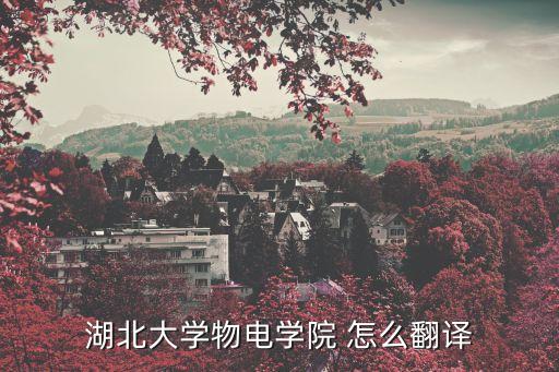 湖北大學物電學院 怎么翻譯
