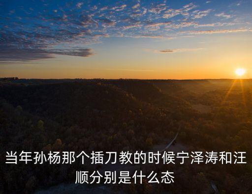 插刀教事件，當年孫楊那個插刀教的時候寧澤濤和汪順分別是什么態