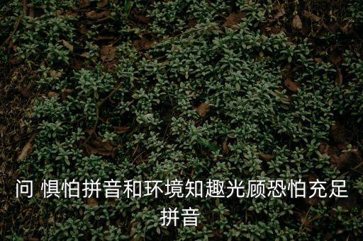 恐懼拼音，問 懼怕拼音和環境知趣光顧恐怕充足拼音