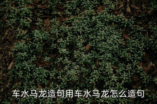 車水馬龍造句用車水馬龍怎么造句