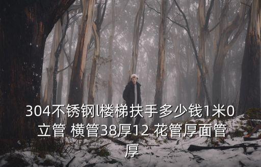 樓梯扶手圖片大全，304不銹鋼l樓梯扶手多少錢1米0 立管 橫管38厚12 花管厚面管 厚