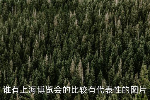 上海市第一屆文代會照片，誰有上海博覽會的比較有代表性的圖片