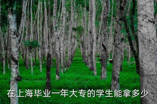 在上海畢業一年大專的學生能拿多少