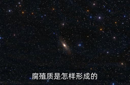 腐殖質是怎樣形成的