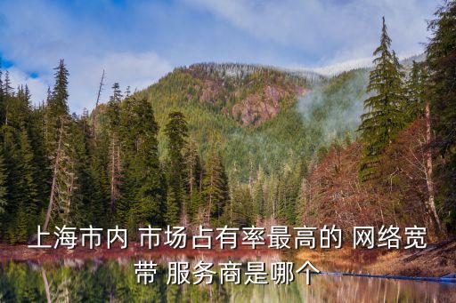 上海市寬帶市場份額，三大運營商在廣東的寬帶市場占有率分別是多少