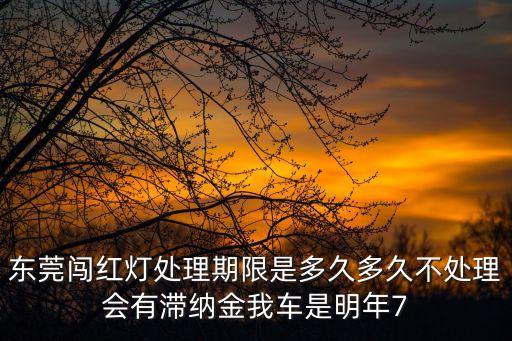 東莞闖紅燈處理期限是多久多久不處理會有滯納金我車是明年7