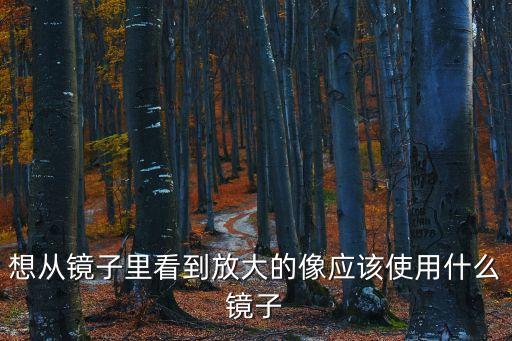 想從鏡子里看到放大的像應該使用什么鏡子