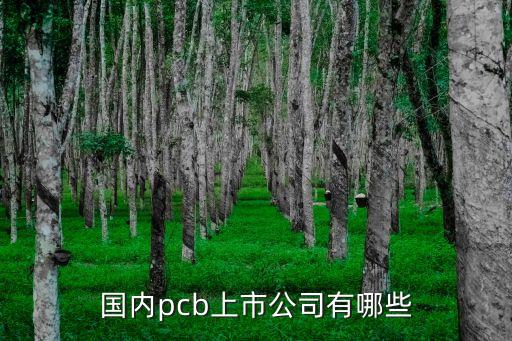 東莞立誠電子上市了嗎，東莞立誠電子有限公司怎么樣