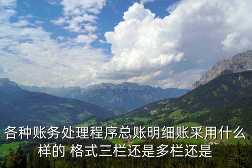 各種賬務處理程序總賬明細賬采用什么樣的 格式三欄還是多欄還是