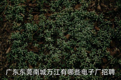 東莞萬江銘豐最新招聘信息，東莞萬江求職