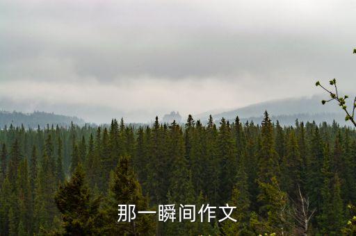那一瞬間作文，就在那一瞬間的作文