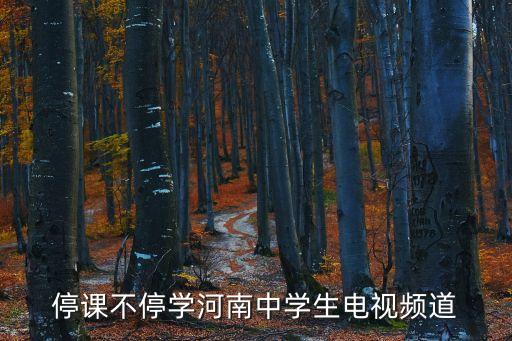 停課不停學(xué)河南中學(xué)生電視頻道