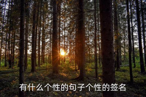 有什么個性的句子個性的簽名