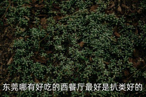 東莞哪有好吃的西餐廳最好是扒類好的