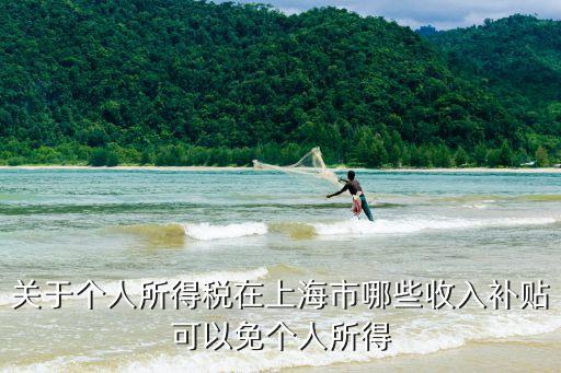 關(guān)于個人所得稅在上海市哪些收入補貼可以免個人所得