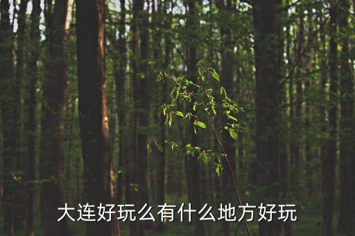 大連好玩的地方，大連好玩么有什么地方好玩