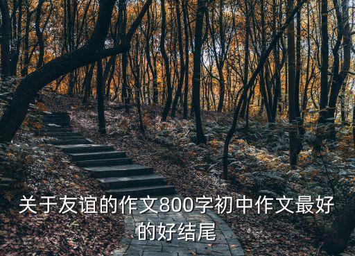 關(guān)于友誼的作文800字初中作文最好的好結(jié)尾