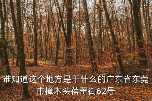 誰知道這個地方是干什么的廣東省東莞市樟木頭蓓蕾街62號